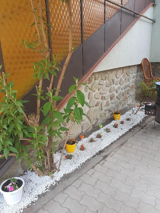 Nimrod Vendeghaz Sopron Hotel Luaran gambar